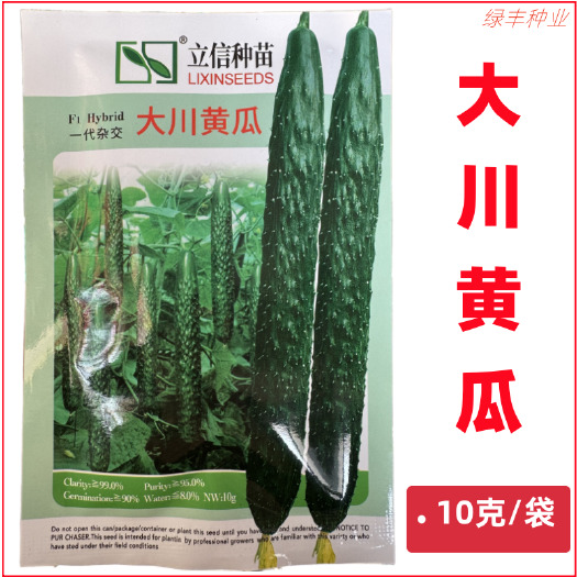 三明大川黄瓜种子刺瓜青瓜种子耐热耐湿黄瓜种籽春夏秋冬季黄瓜种孑子