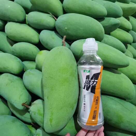昆明四川攀枝花凯特芒金煌芒贵妃芒椰香水果批发一件代发