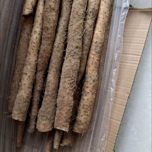 福建云霄铁棍山药 新鲜根茎类蔬菜 直供B2B平台