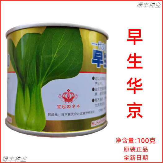 三明日本早生华京青梗菜种子早熟耐热耐寒耐雨全年栽武藏野青梗菜种孑