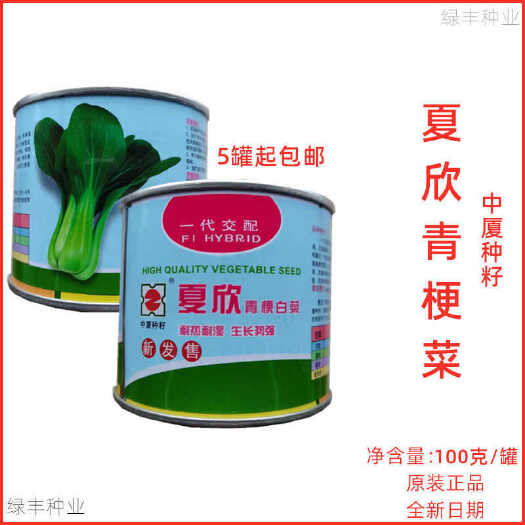 中厦夏欣青梗菜种子上海青青江白花瓶菜良种春夏秋冬季蔬菜种孑