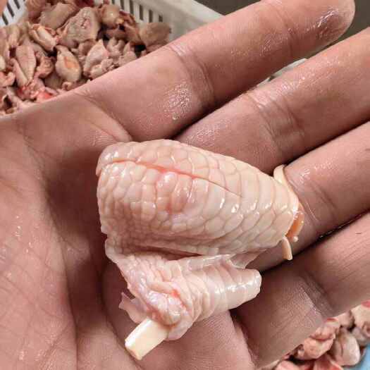 菏泽环切鸡脚筋质量优，价格便宜，工厂直发，全国各地冷链配送