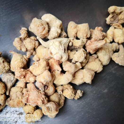 珠子参 各种规格 选择下单斤2斤包邮