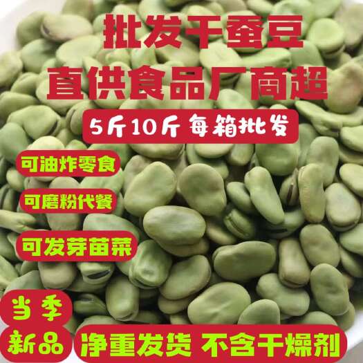 邓州市批发干蚕豆青皮新货当季蚕豆绿胡豆可发芽蚕豆晒干罗汉豆一年代发