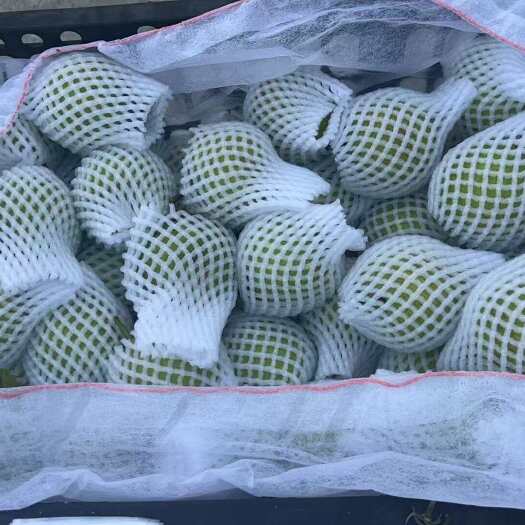 长春翠冠梨新鲜水果吉林长春宽城区直供，量越大价越廉