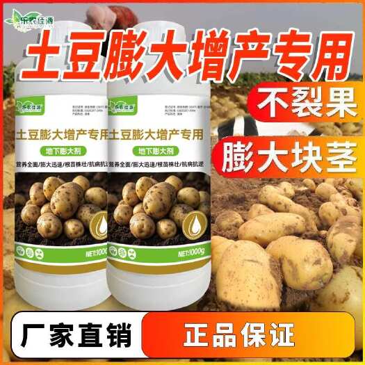 土豆膨大增产专用地下根茎膨大果实提升抗病增产生根壮苗洋芋肥料
