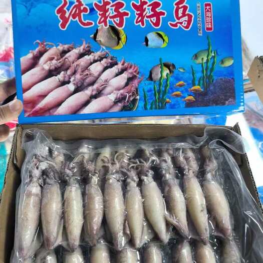 籽乌30头/盒，1件10盒