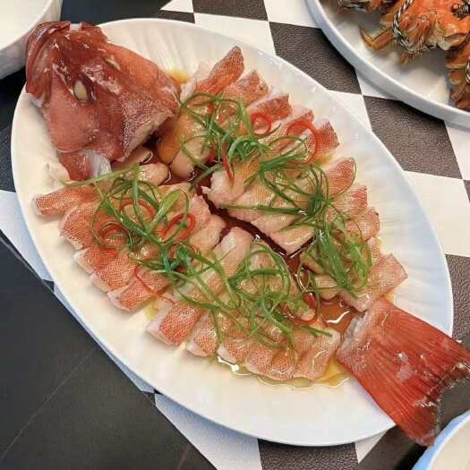 泰安大白鱼  黄花鱼  红斑鱼宴会专用鱼！