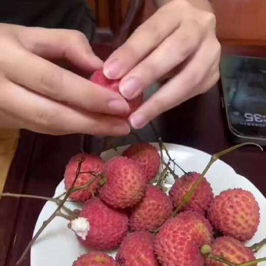 广州增城仙进奉荔枝新鲜现摘