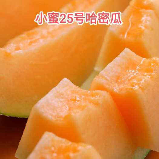 民勤县甘肃民勤西州蜜哈密瓜新鲜水果直供