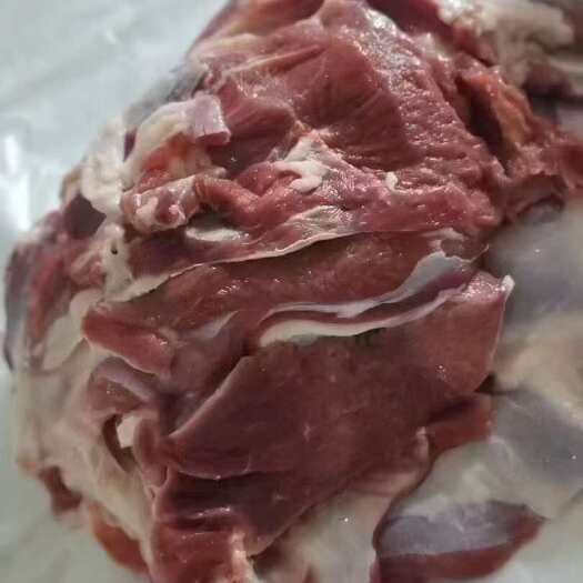 临沂羊腿肉非常新鲜