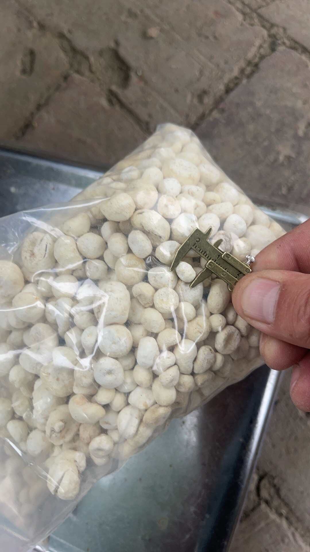 旱半夏散装15%以下含水量河北安国发货可开票支持专线物流