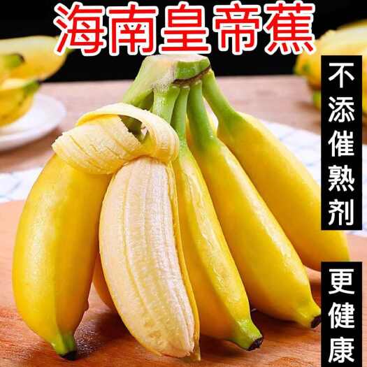 海南皇帝蕉帝王蕉贡蕉现摘现发热带水果香蕉软糯香甜
