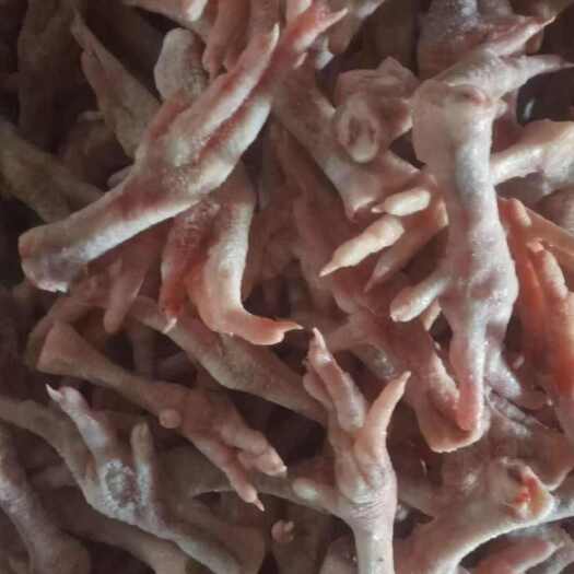 菏泽各种规格鸡爪，花爪，断爪，817小爪，量大从优，询价再议