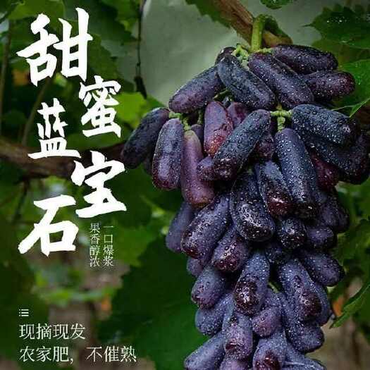 西昌市蓝宝石金手指葡萄电商一件代发承接各大电商微商渠道