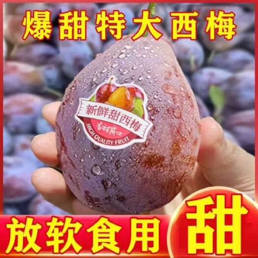 汉源县四川西梅一件代发