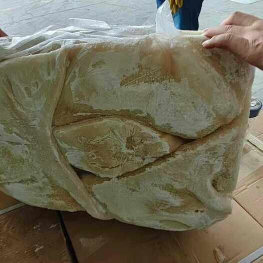 中牟县国产牛肚带金肚六七成熟