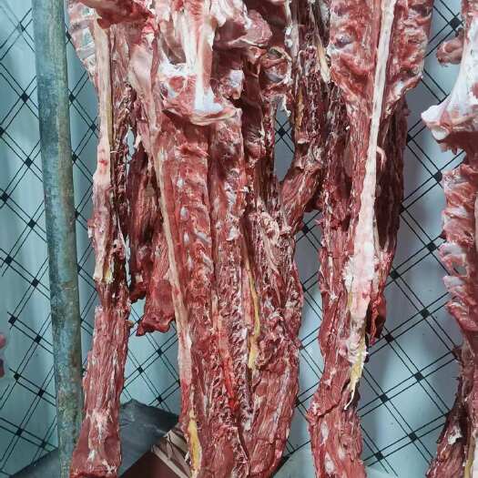 乐陵市多肉羊蝎子