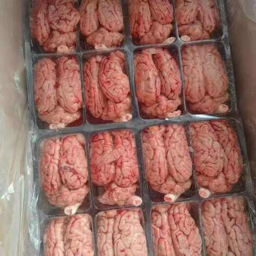 临沂软糯猪脑花，尝鲜正当时