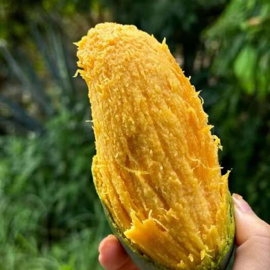 广西百色特产桂七芒果香芒精品大果当季现摘新鲜水果