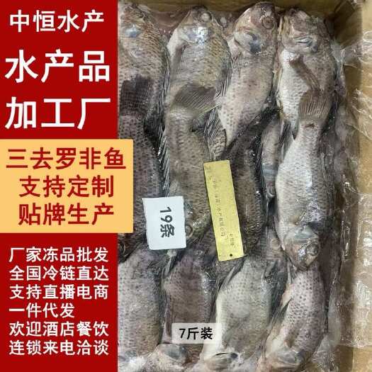 东山县新鲜三去罗非鱼 商用7斤装 炭烤糖醋红烧罗非鱼冻品材料厂家批