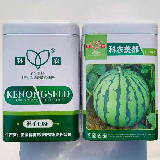 沭阳县科农美都西瓜种子 早中熟品种开花至成熟33天左右