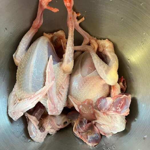 深圳深圳龙岗鲜活鸽子禽畜肉蛋养殖场直供 多种物流方式可选