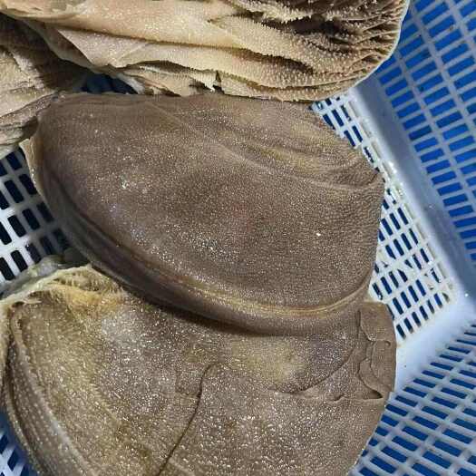 成都黑整肚 毛肚个个 牛副产品批发