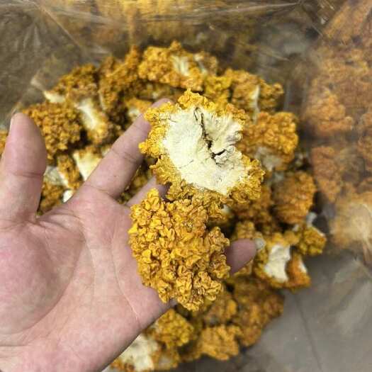 云南昆明官渡区产地直发金耳食用菌