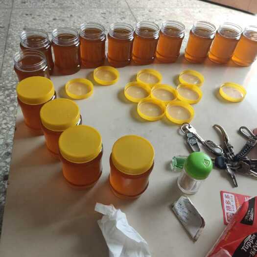 桂东县纯野生蜂蜜销售