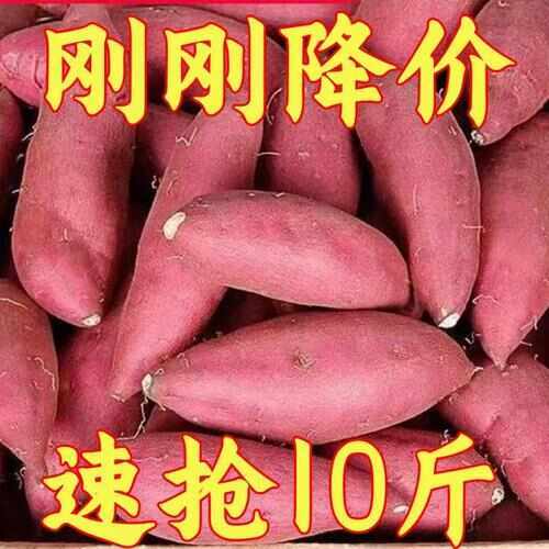 兰考县【净重9斤】正宗黄心蜜薯超甜蜜薯软糯地瓜番薯红芋新鲜现挖现发