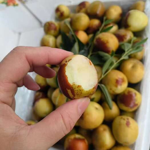 大荔县陕西大荔冬枣一件代发