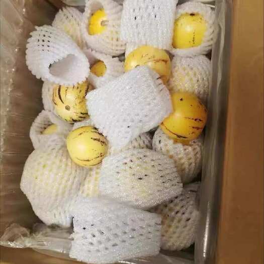 可一件代发！！云南石林人参果黄心树熟大果特大果王