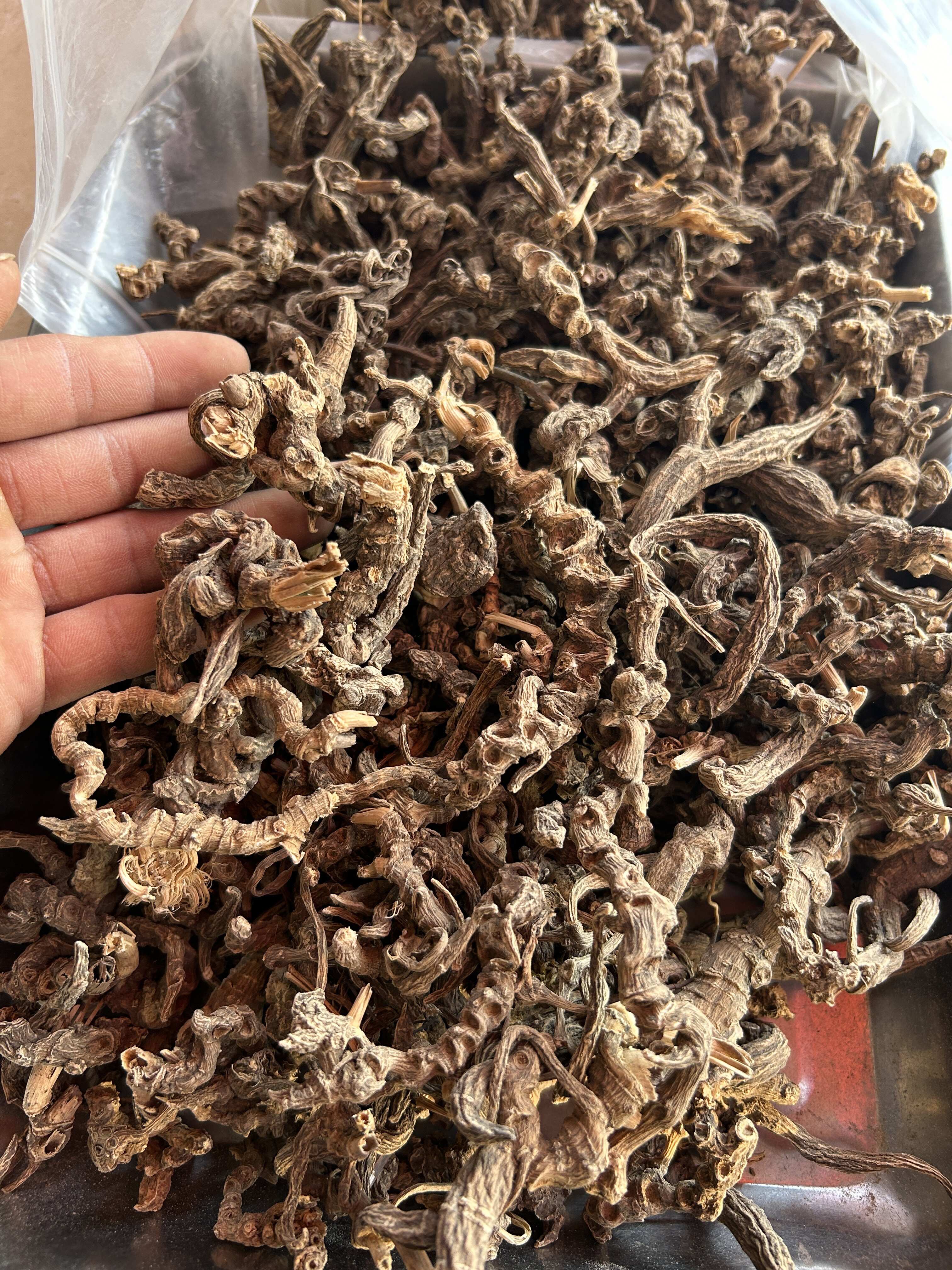 云南三七竹节参天王参现货批发产地货源量大价优