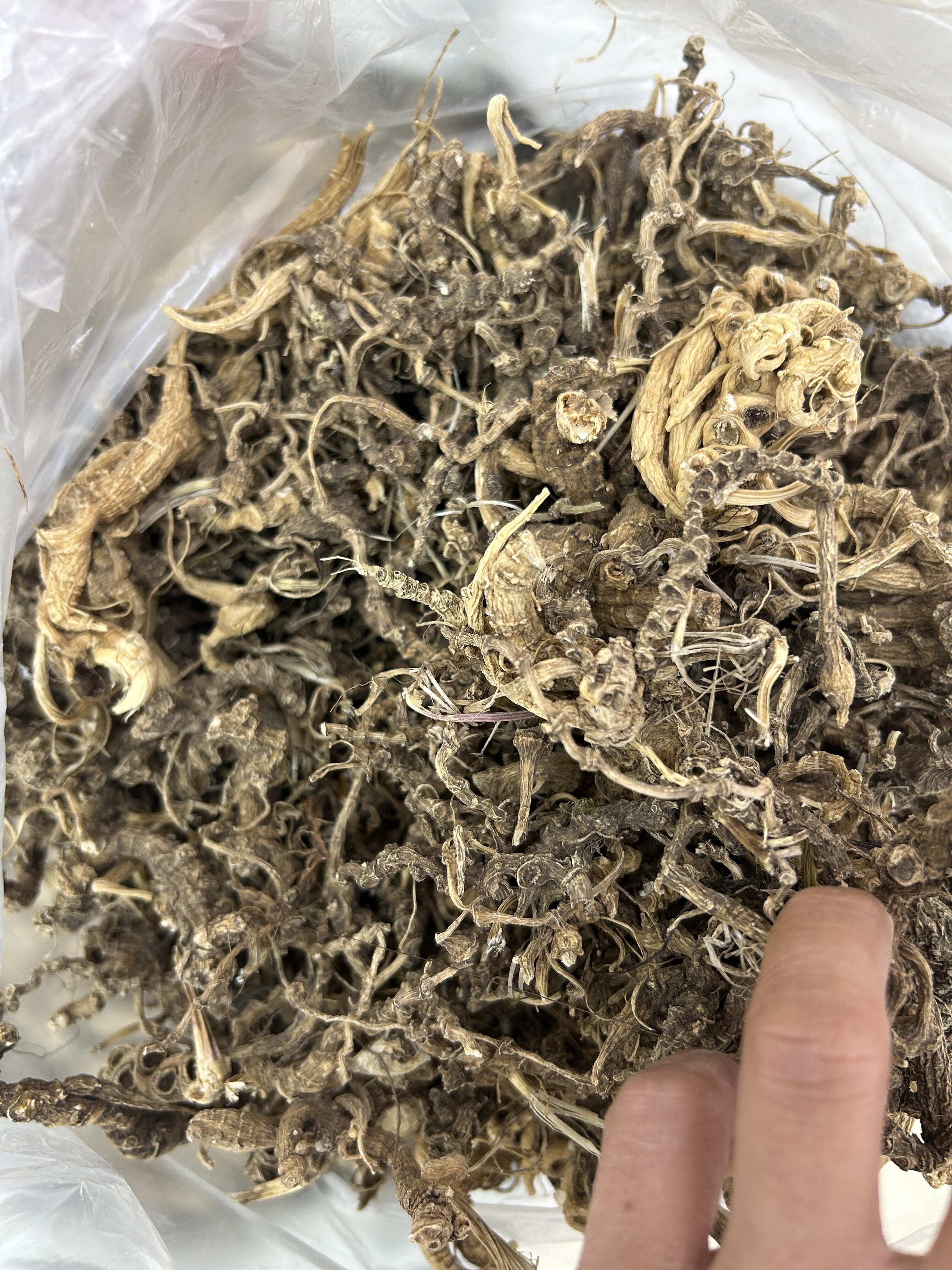 云南三七竹节参天王参现货批发产地货源量大价优