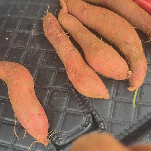 江华县大量冰淇淋红薯电商上市了，有要电商的联系