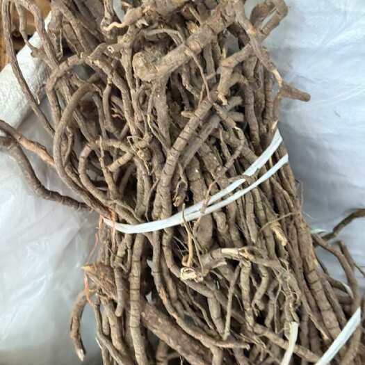 玉林黑老虎
