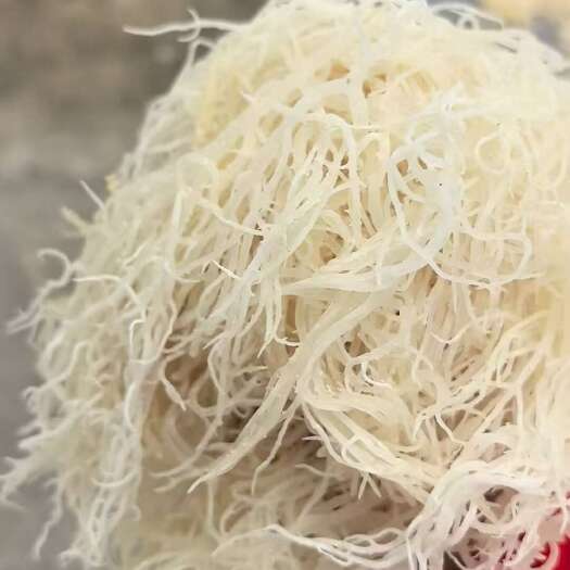 滕州市龙须菜加工  私人订制