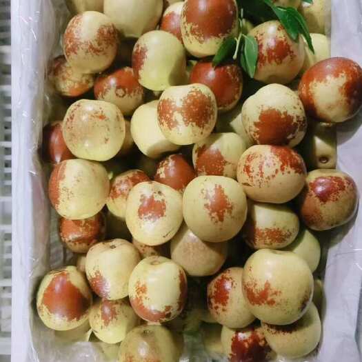 大荔县正品大荔冬枣，一件代发
