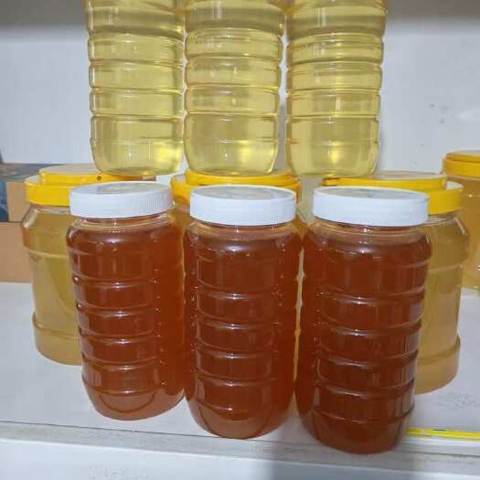 灵寿县农家蜂蜜  生活很苦  蜂蜜很甜  尝在嘴里