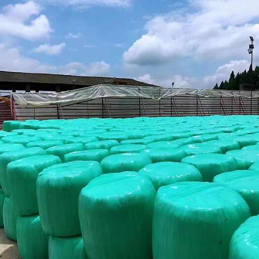 山东河北安徽山西可发青贮黄贮饲料原料:玉米秸秆、甘蔗尾叶养殖