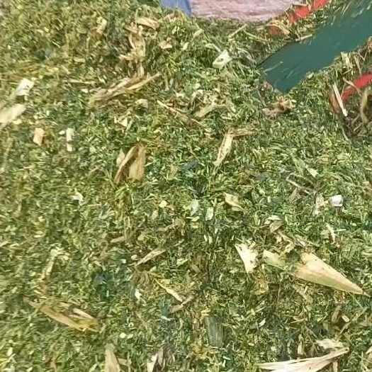 玉米秸秆青储,无土不添加水分,全程售后保障,不带玉米粒，