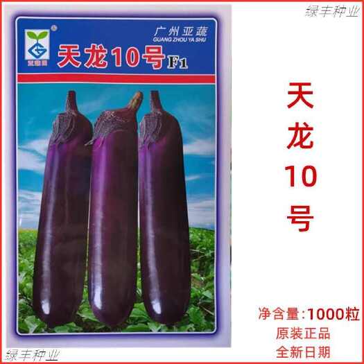 三明广州亚蔬天龙10号茄子种子中熟深紫色可作烧烤茄子耐高温茄子种