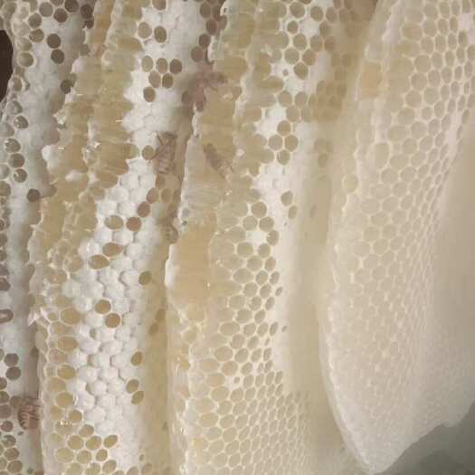 安福县天然蜂蜜营养滋补品非药品
