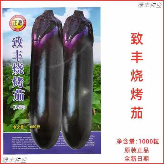 三明致丰烧烤茄种子深紫色油亮大粗茄种籽耐热抗病春秋季烧烤茄子种孑