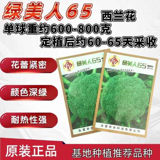 绿美人65天75天85天早熟中熟晚熟青梗花椰菜一代杂交西兰花