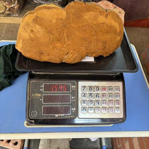 玉林桑黄 桑黄 颜色金黄各种桑黄大货批发 全国发货 诚信经营