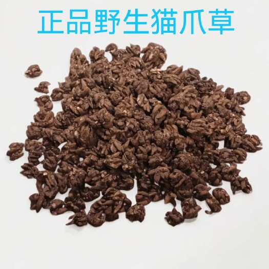 阜南县正品猫生猫爪草，天然生长，欢迎选购