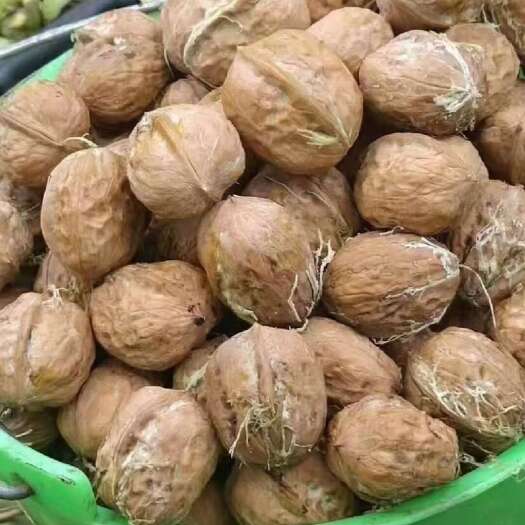 德昌县去皮核桃核桃子批发鲜核桃老核桃香核桃