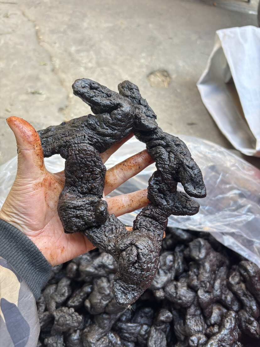 黄精九蒸九晒黄精制黄精源头直供自家加工厂一手直批